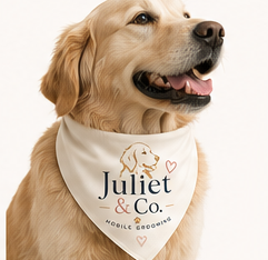 Juliet, the golden retriever who inspired Juliet & Co., wearing her bandana